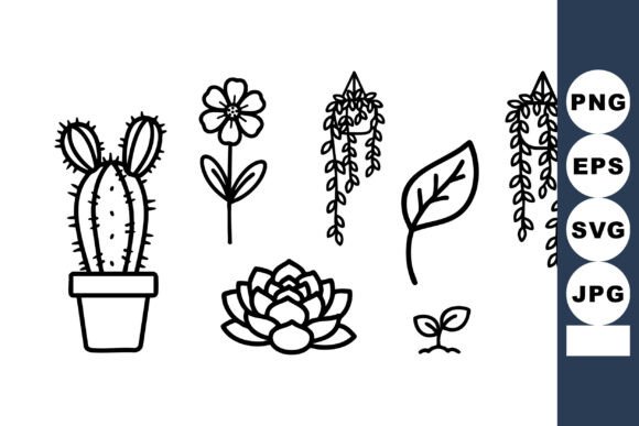 Cactus Succulent and Floral Vector Line Graphics for Illustrations