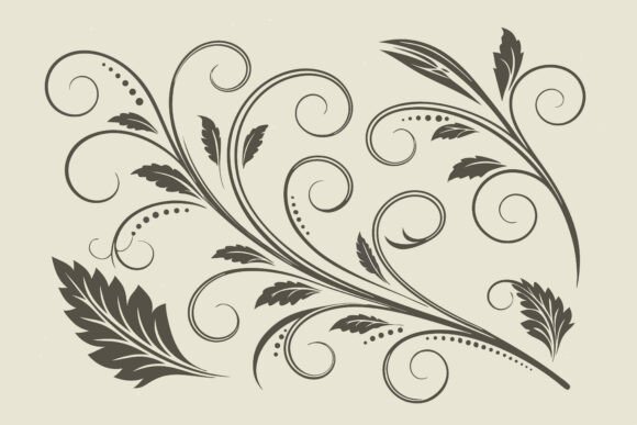 Elegant Floral Flourish with Leaves Graphics and Illustrations Review